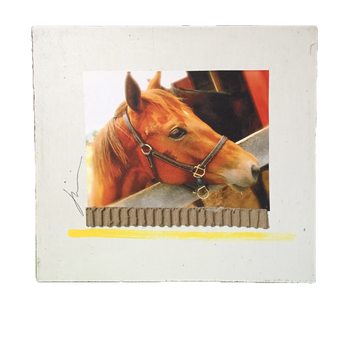 Virginia Thoroughbred
