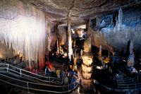 Caroling in The Caverns
