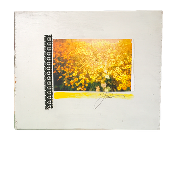 Delta Flowers
