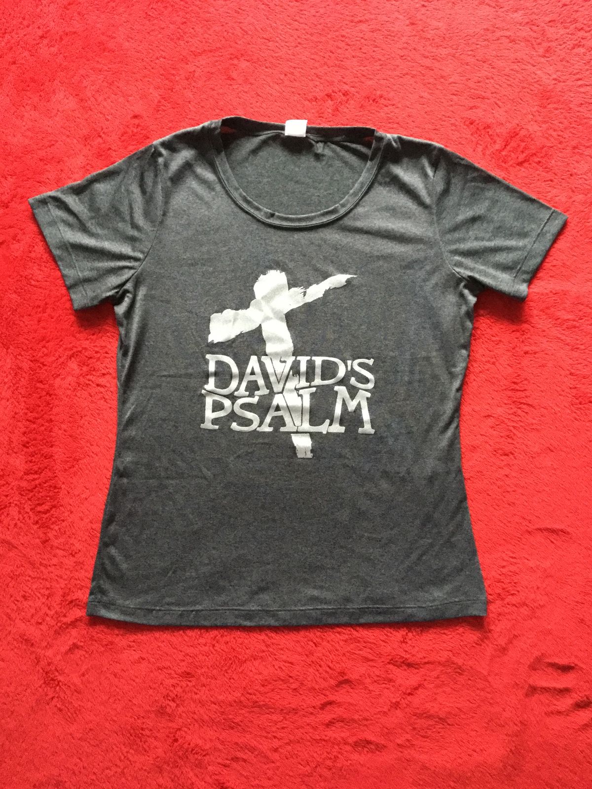 David's Psalm T-Shirt (Moisture-Wicking)