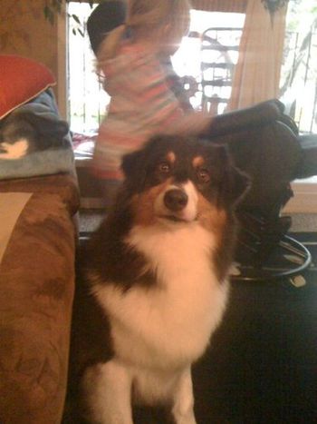 Kahlua 4 years old
