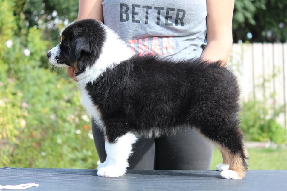 George @ 8 weeks
