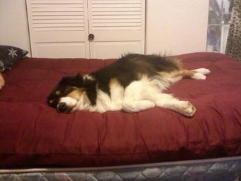 Not a spoiled girl at all!!
