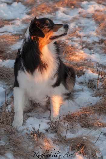 Kahlua!
