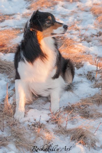 Kahlua

