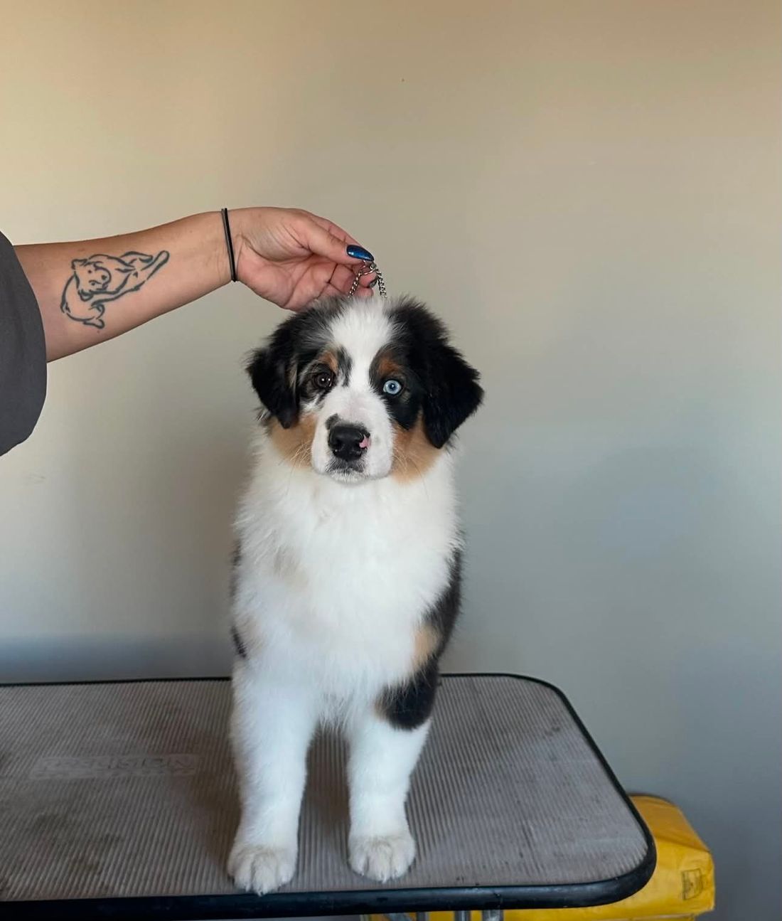 Baby Weston

