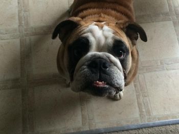"mom, can I have popcorn?"
