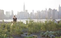 WE ARE NATURE Rooftop series