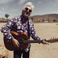 Robyn Hitchcock