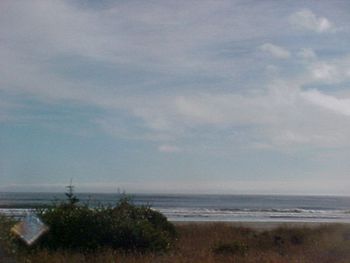 The Pacific
