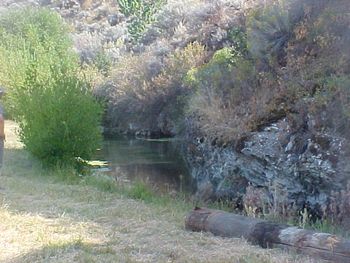 More Hayden Creek, Idaho
