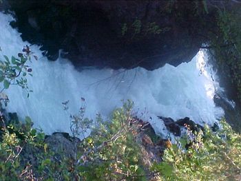 Rogue River Gorge
