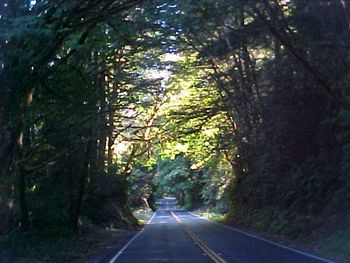 Klamath California. Beautiful country
