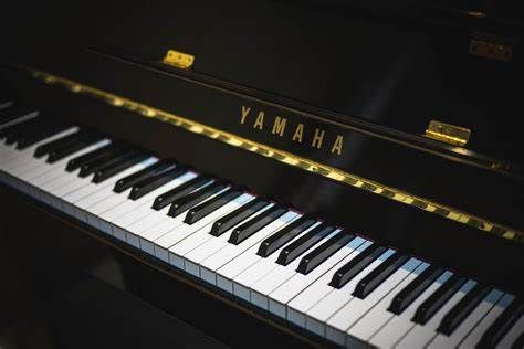 Piano Lesson