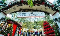 Sawdust Winter Fantasy