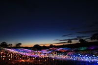 RIDESHARE at Sensorio-Main Lawn