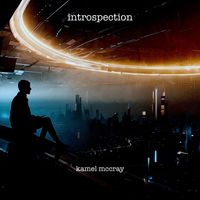 introspection by Kamel McCray