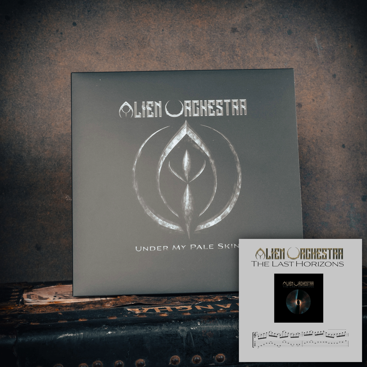 Under My Pale Skin - vinyl record + guitar tab/sheet (free download)