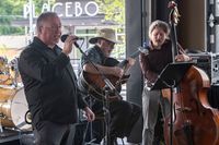 David & the HeartStrings Trio