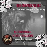 Matthew Wallace & the Flying Saucers