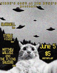 Matthew Wallace & the Flying Saucers