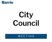 City Council
