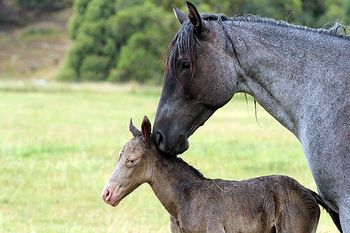 3 hours old
