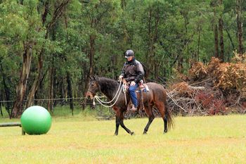 Parelli clinic @ Wilton - May 2013
