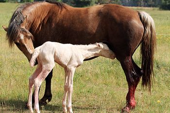 1 hour old
