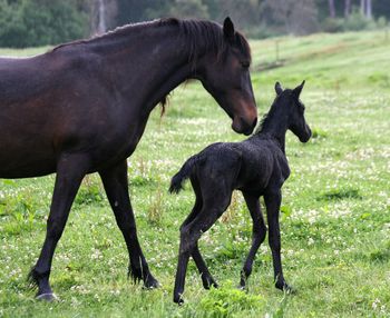 2/11/11 a few hours old
