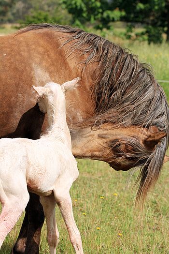 1 hour old
