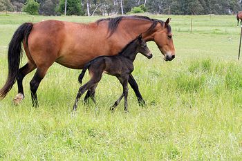 1 day old
