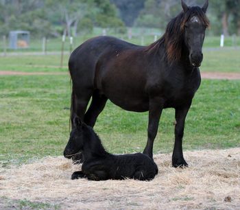 October 7 - 1 day old
