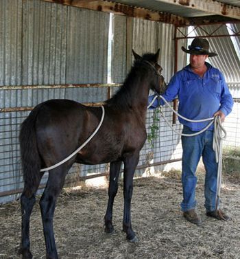 1st handling. February 2nd 2010,
