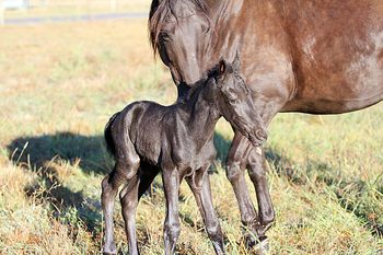 3 hours old
