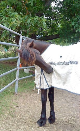 17/12/10 1st rug experience

