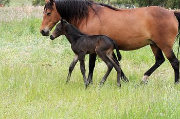 1 day old
