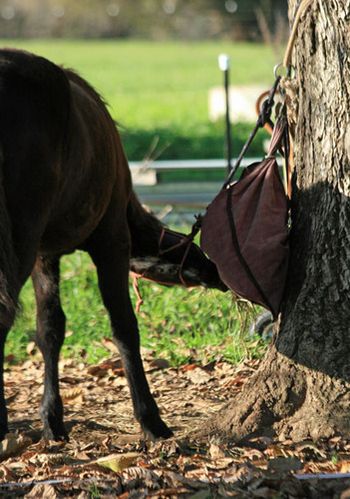 June 2010, final block of education prior to leaving for his new home in Tassie.
