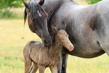 3 hours old
