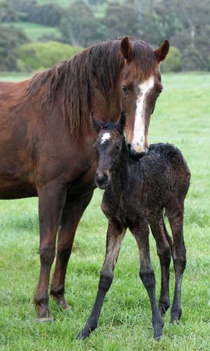 11/10/09 Hours old
