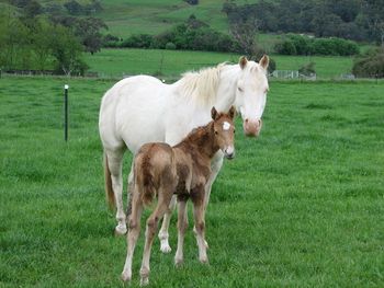 3 Days old
