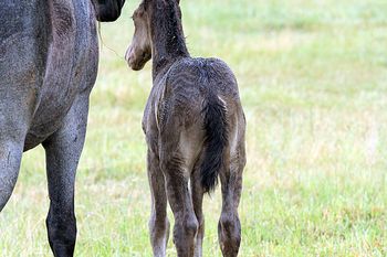 3 hours old

