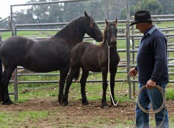 06/05/10. 6.5 months.
