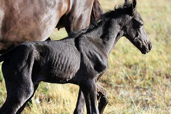 3 hours old
