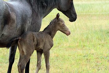 3 hours old
