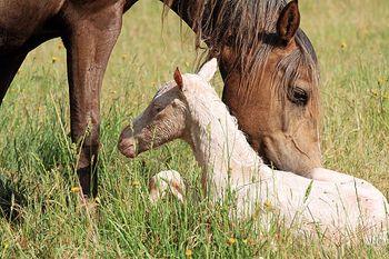 1 hour old
