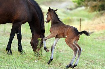 Hours old
