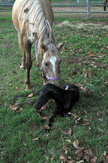 minutes old

