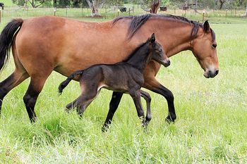 1 day old
