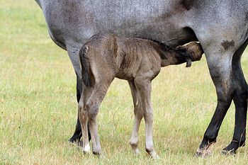3 hours old
